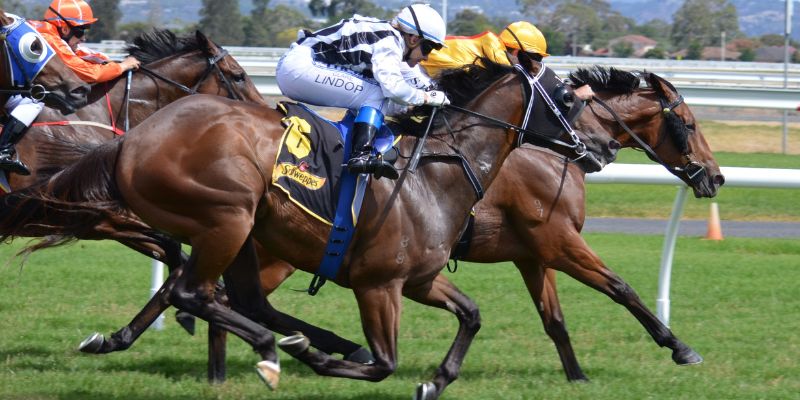 Kèo đua ngựa Nowgoal mẹo chơi