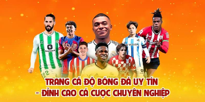 Trang Cá Độ Bóng Đá Uy Tín